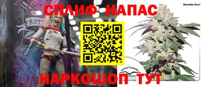 стафф Заводоуковск