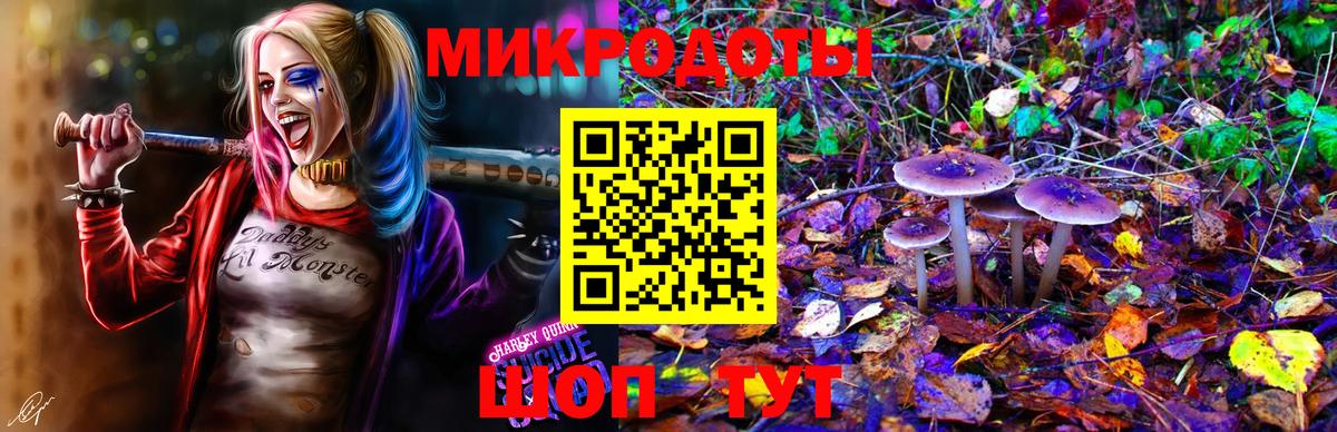 Псилоцибиновые грибы ЛСД Каменск-Шахтинский